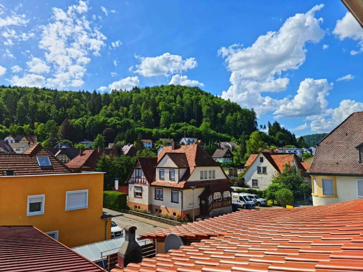 Pension Transilvania Immendingen Екстериор снимка